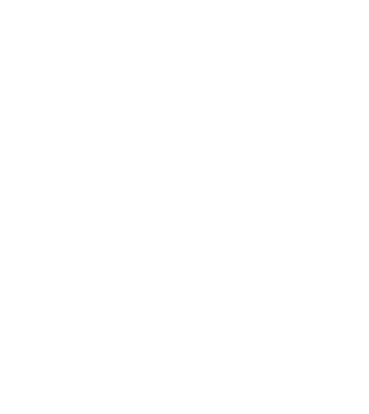 Medizy